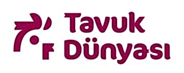 Tavuk Dünyası